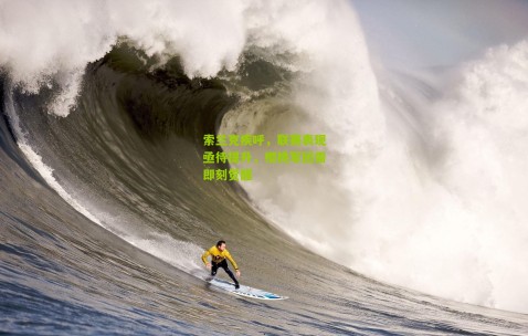 索兰克疾呼，联赛表现亟待提升，樱桃军团需即刻觉醒