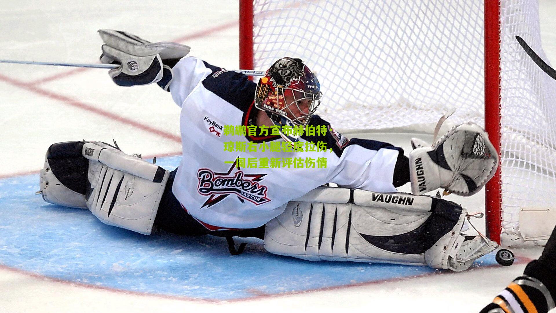 鹈鹕官方宣布赫伯特·琼斯右小腿轻度拉伤，一周后重新评估伤情